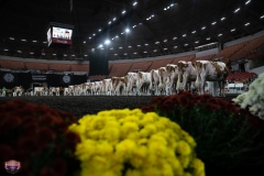 AR302333-3912 AR302333-3912