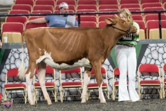 A9105255-3768 A9105255-3768