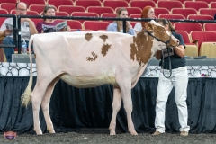 A9105260-3769 A9105260-3769