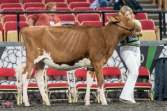 A9105263-3770 A9105263-3770