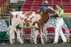 A9105265-3771 A9105265-3771