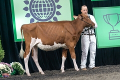 A9105267-3773 A9105267-3773