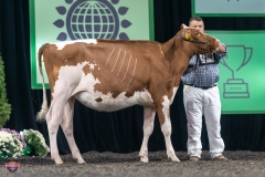 A9105268-3774 A9105268-3774