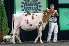 A9105269-3775 A9105269-3775