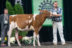 A9105281-3778 A9105281-3778