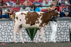 A9105284-3780 A9105284-3780