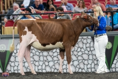 A9105286-3781 A9105286-3781