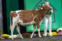 A9105287-3782 A9105287-3782