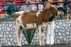 A9105288-3783 A9105288-3783