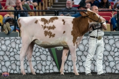 A9105291-3785 A9105291-3785