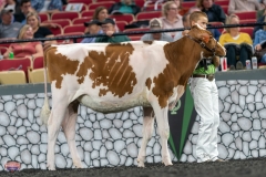 A9105294-3786 A9105294-3786