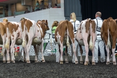 AR302261-3790 AR302261-3790