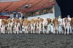 AR302264-3791 AR302264-3791