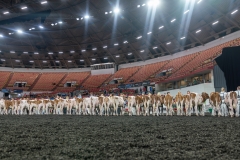 AR302267-3792 AR302267-3792