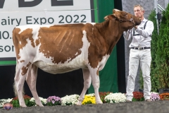 A9105737-3983 A9105737-3983