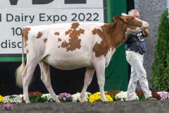 A9105740-3984 A9105740-3984