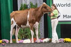 A9105743-3985 A9105743-3985