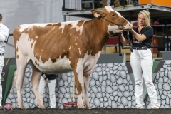 A9105744-3986 A9105744-3986