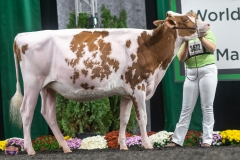 A9105745-3987 A9105745-3987