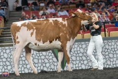 A9105751-3989 A9105751-3989