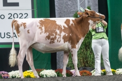 A9105756-3990 A9105756-3990