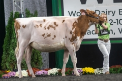 A9105757-3991 A9105757-3991