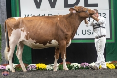 A9105761-3992 A9105761-3992