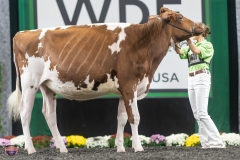 A9105764-3993 A9105764-3993