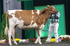 A9105766-3994 A9105766-3994