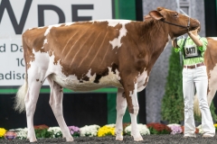 A9105768-3995 A9105768-3995