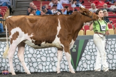 A9105773-3996 A9105773-3996