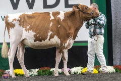 A9105774-3997 A9105774-3997