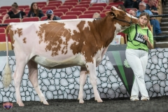 A9105778-3998 A9105778-3998