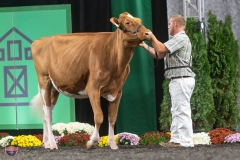 A9105780-3999 A9105780-3999