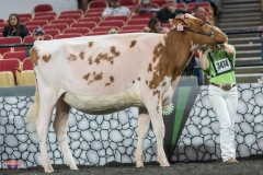 A9105782-4000 A9105782-4000