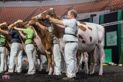 AR305164-4034-4040 AR305164-4034-4040