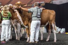 AR305168-4035-4041 AR305168-4035-4041