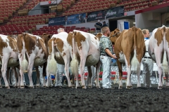 AR305189-4037 AR305189-4037