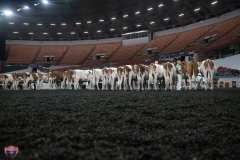 AR305193-4039-4045 AR305193-4039-4045