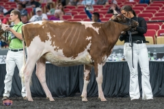 A9105401-3836 A9105401-3836