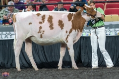 A9105404-3838 A9105404-3838