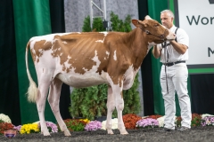 A9105406-3839 A9105406-3839