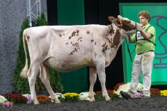 A9105407-3840 A9105407-3840