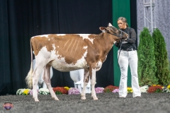 A9105410-3841 A9105410-3841