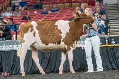 A9105411-3842 A9105411-3842