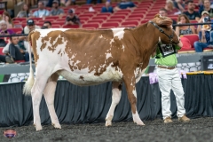 A9105413-3843 A9105413-3843