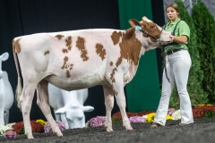 A9105415-3844 A9105415-3844