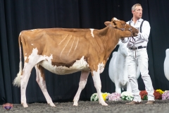 A9105416-3845 A9105416-3845