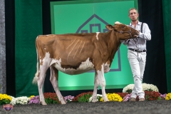 A9105418-3846 A9105418-3846