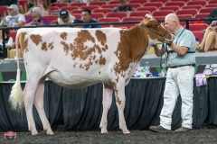 A9105422-3848 A9105422-3848